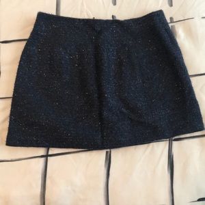 Zara Basic Navy Mini Skirt